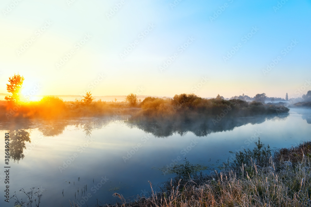 Fototapeta premium The first frost and frost on the grass by the river. Beautiful late autumn landscape in the wild. Fresh foggy autumn morning on the river.