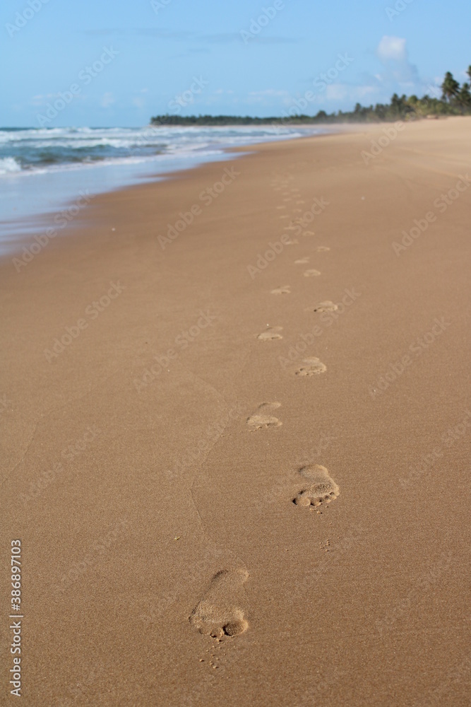 footprint on the sand in a desert beach footprint on the sand in a desert beach