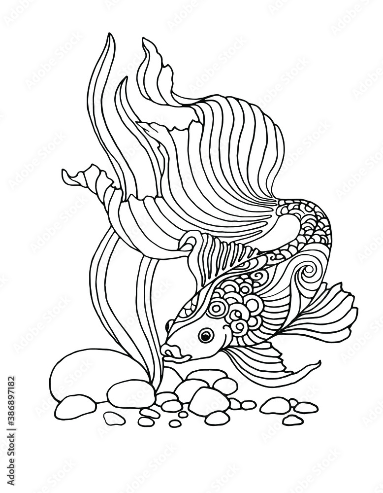 black and white fish black and white fish