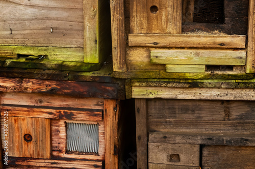 Hong Kong 2020 : Close-up Of Four Abandoned Wooden Bees Box