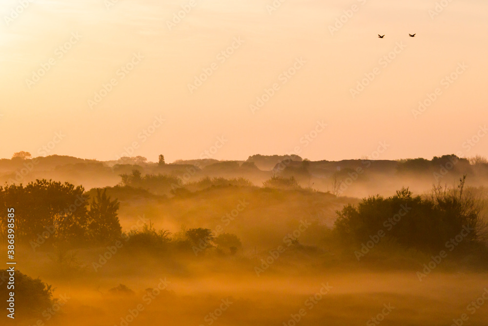 Fototapeta premium Landscape Berkheide dunes in Katwijk, Netherlands