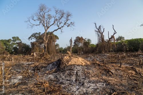 Fire in the fields