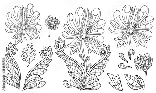 set of plant elements flower fantasy leaves outline coloring poster vector doodle sketch isolate on white background outline stroke constructor