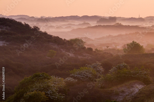 Landscape Berkheide dunes in Katwijk, Netherlands