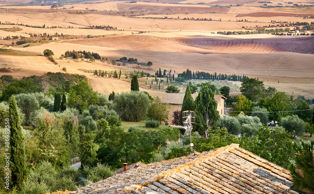 View over the Tuscan valley Val d'Orcia at dawn