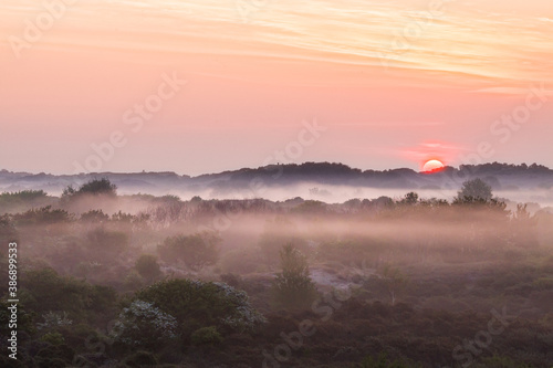 Landscape Berkheide dunes in Katwijk, Netherlands