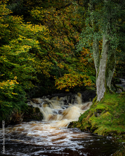 Waterfall on Harthope Burn, Harthope Valley in the county of Northumberland, England, UK. Showing autumn colours. photo