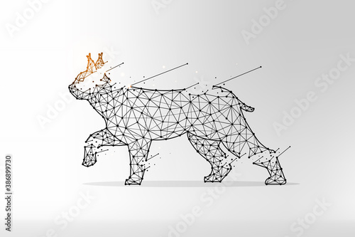 Lynx in polygonal style. Wild cat made from lines and dots. Abstract art