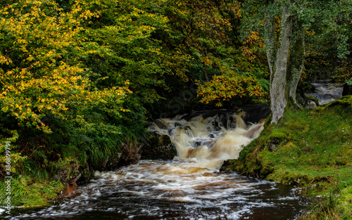 Waterfall on Harthope Burn, Harthope Valley in the county of Northumberland, England, UK. Showing autumn colours. photo