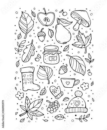 Autumn pattern. Harvest. Fruit  berries  leaves  flowers. Happy thanksgiving day. Set collection. Vector artwork. Black and white  monochrome. Coloring book page. Banner  print. Doodle icons
