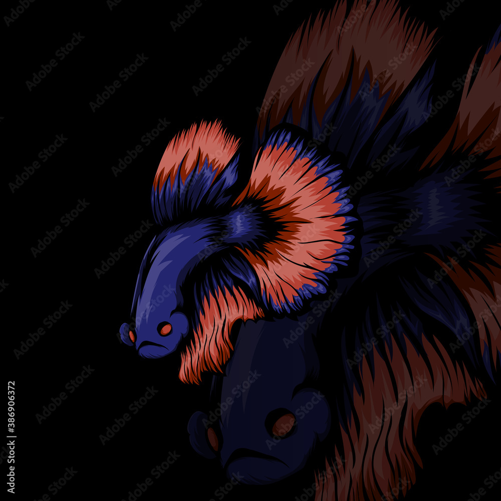 Betta fish, siamese fighting fish, betta splendens isolated on black background, fish on black background, Multi color Siamese fighting fish, action, aquarium, aquatic, aggressive, color, betta, siame Betta fish, siamese fighting fish, betta splendens isolated on black background, fish on black background, Multi color Siamese fighting fish, action, aquarium, aquatic, aggressive, color, betta, siame