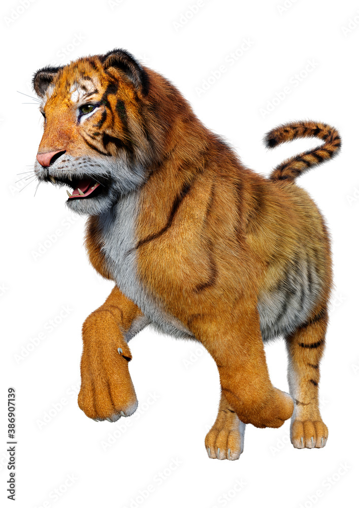 Obraz premium 3D Rendering Big Cat Tiger on White