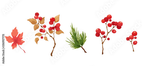 Wallpaper Mural Set - branches with berries, maple leaf, pine branch. Vector illustration in a watercolor style. Torontodigital.ca