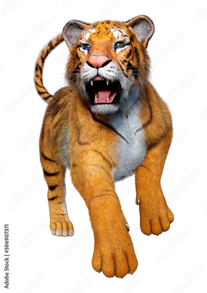 Obraz premium 3D Rendering Big Cat Tiger on White