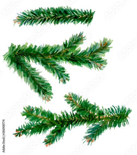 Set of spruce branches. Christmas tree. Conifer trees. Isolated on white. Abstract hand-drawn watercolor elements. Ideal for Merry Christmas and Happy New Year cards, flyers, brochures.