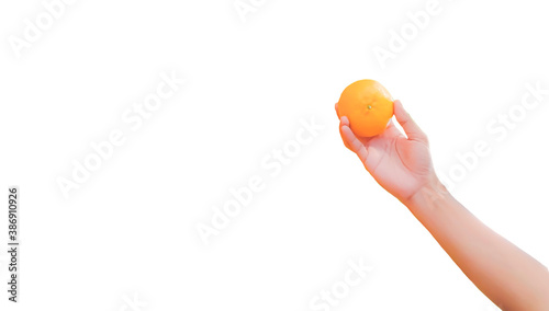Hand choosing orange on white background.