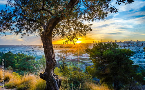 Beautiful sunlit view of Jerusalem's Old City landmarks: Temple Mount with Dome of the Rock, Golden Gate and Mount Zion in the distance; with sun busting through olive tree branches on Mount of Olives