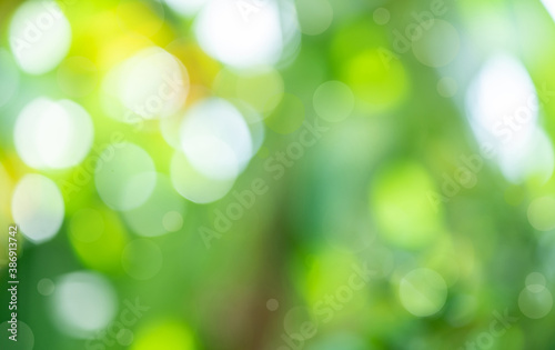 Green abstract bokeh light background.