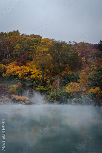 霧がかかるカラフルな森の紅葉の風景