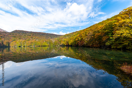 水面に反射した紅葉が美しい森の中の風景 © 健 吉田
