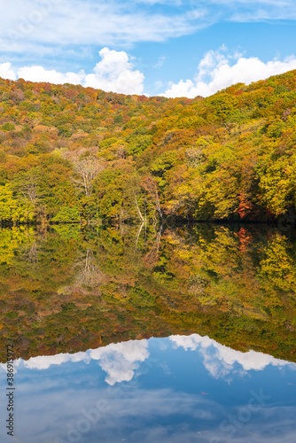 水面に反射した紅葉が美しい森の中の風景