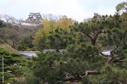 松と彦根城