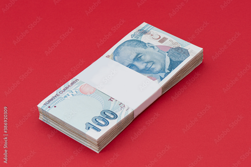 Turkish, One Hundred Lira banknote front, close-up detail.
Turkish, One Hundred Lira banknote front, close-up detail.