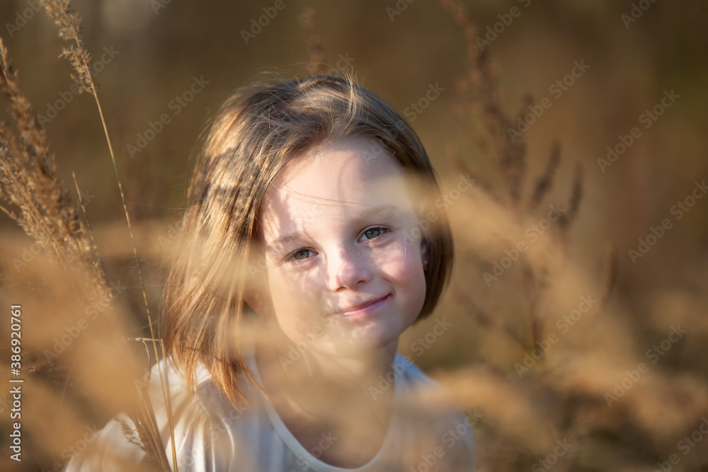 Portrait of a beautiful little girl in meadow grasses. Portrait of a beautiful little girl in meadow grasses.