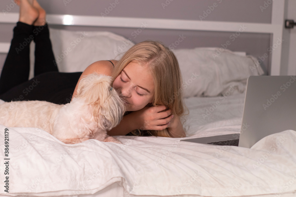 beautiful blonde with a puppy shih-tzu and laptop on bed with white sheets. pretty people and pets on isolation. beautiful blonde with a puppy shih-tzu and laptop on bed with white sheets. pretty people and pets on isolation.