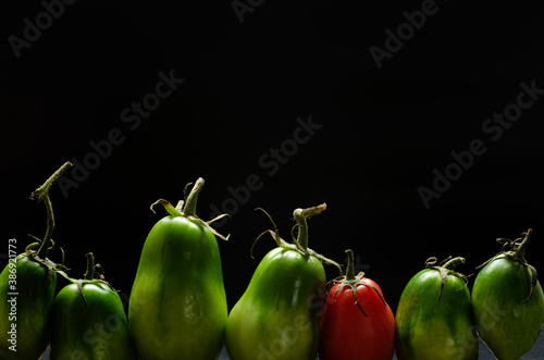 Red and green tomatoes against black background.Empty space photo