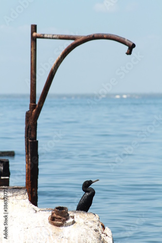 bridge over lake maracaibo