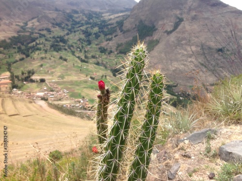 hiking in the mountains