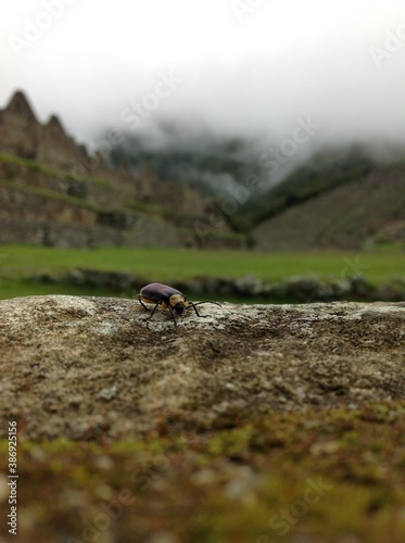 hiking in the mountains