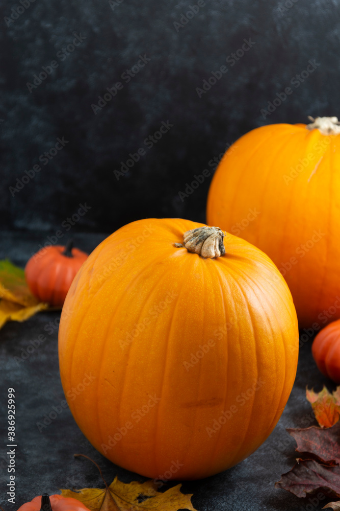 Pumpkin isolated in dark background. Raw pumpkin, fall food. Pumpkin isolated in dark background. Raw pumpkin, fall food.