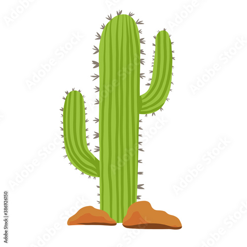 Vector flat illustration of a cactus with stones. Cactus for the background. Green plant with thorns in the desert. Flat style graphics for illustrations, games isolated on white. Cute cartoon cactus