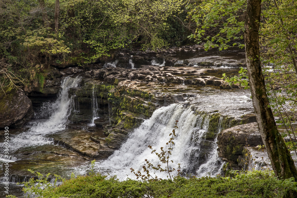 Fototapeta premium Aysgarth falls Yorkshire dales