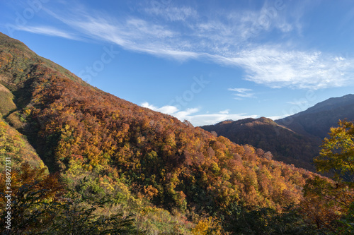 百名山に挑戦‼ 秋の紅葉登山 (日本 - 新潟 - 雨飾山)