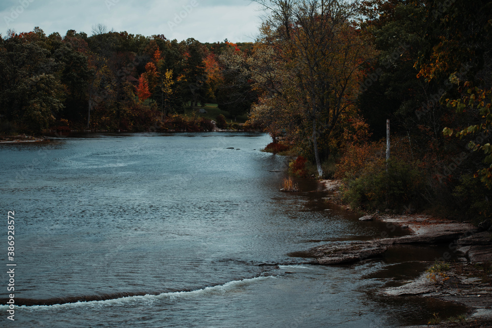 Obraz premium river with fall trees