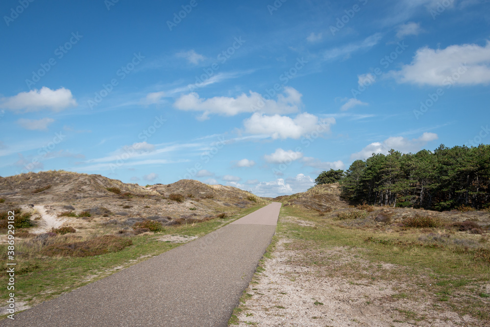 Dunes area called the 'schoorlse duinen' in the dune area of the province of North Holland, the Netherlands