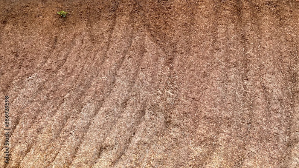texture background texture background
