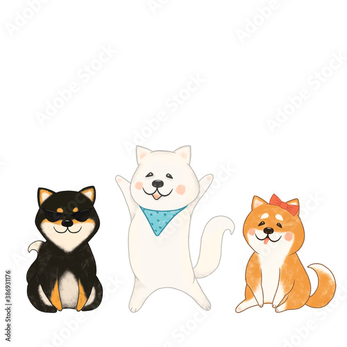 funny shiba inu dogs of different colors at the holiday