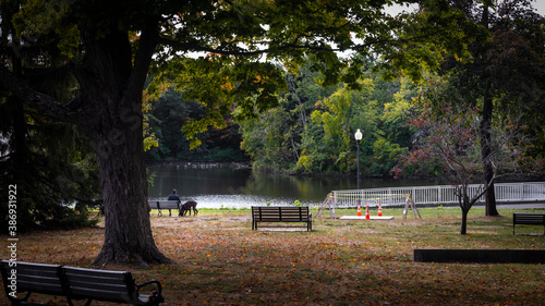 Bench by lake