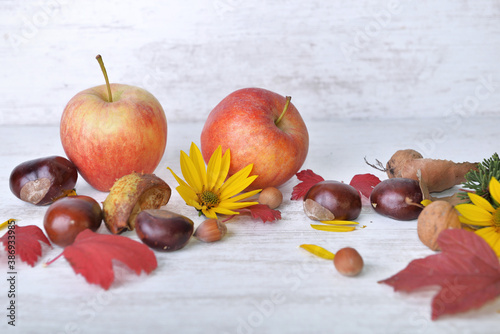 red apples, brown, yellow flowers with leaves in autumnal still life on white...