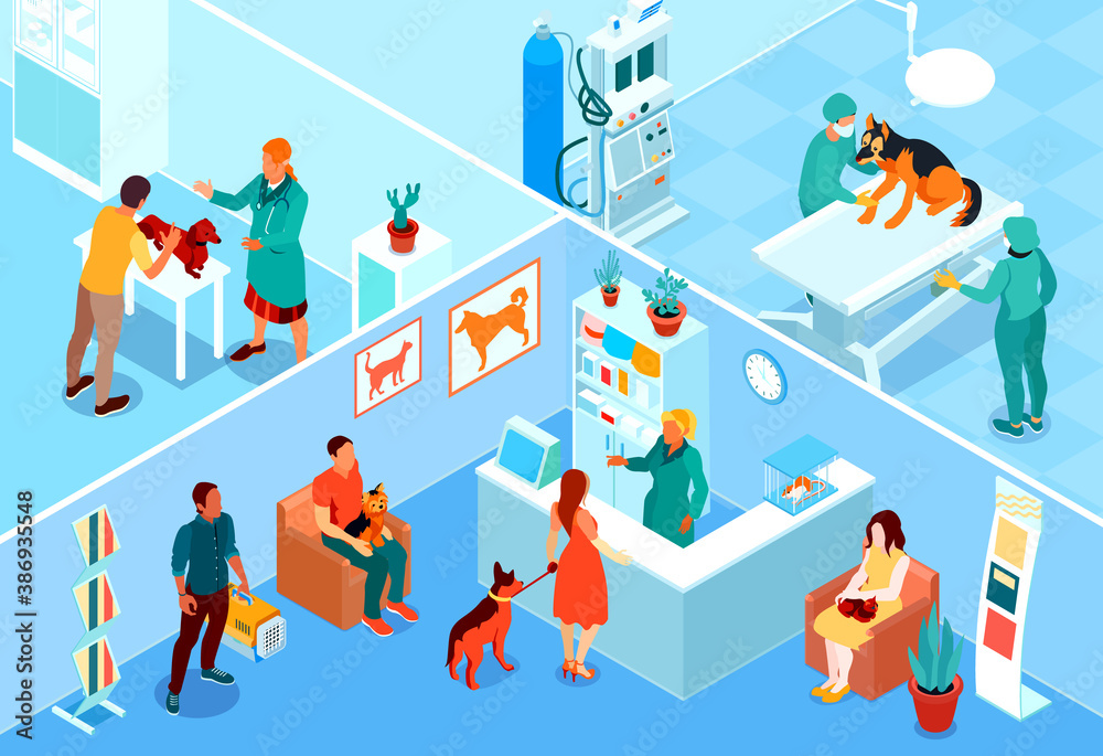 Isometric Veterinary Illustration Isometric Veterinary Illustration