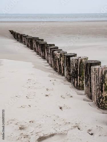 Wooden breakwater along the Dutch coast of Ameland photo