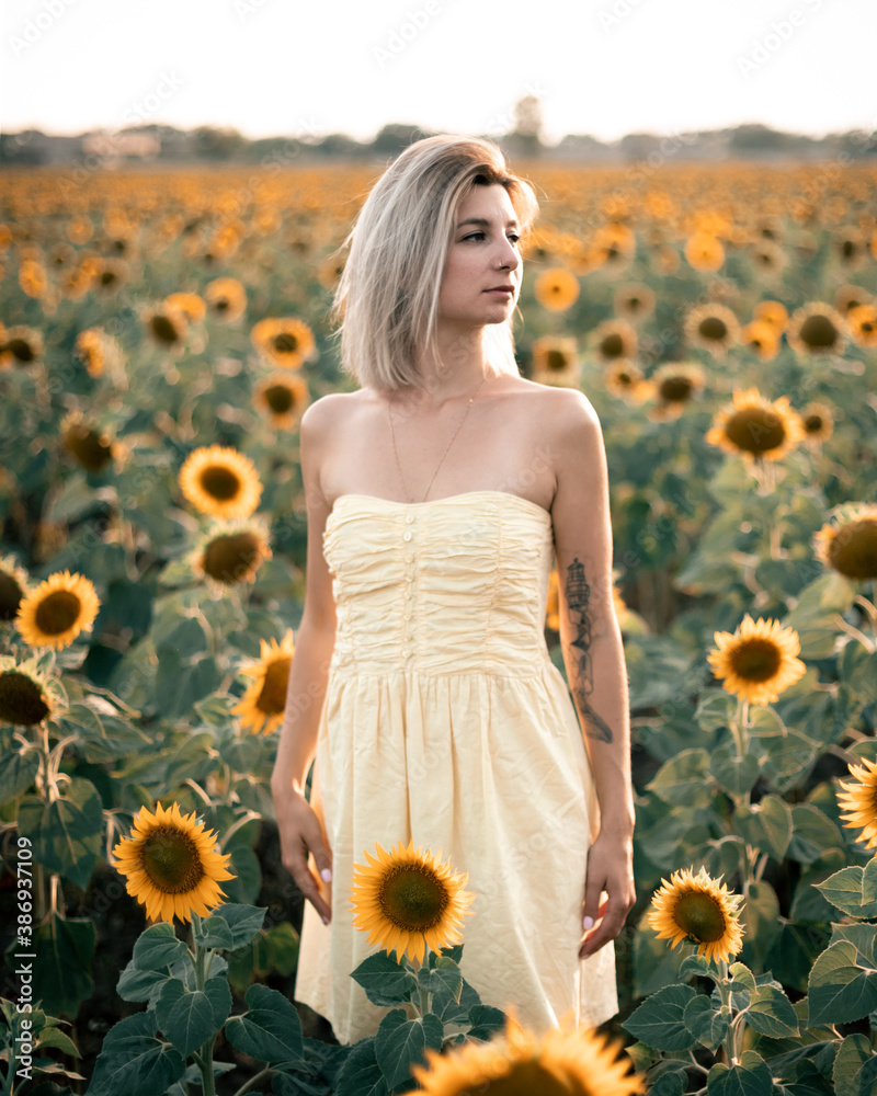 Naklejka premium girl in the sunflower field