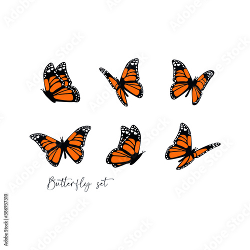 set of butterflies vector