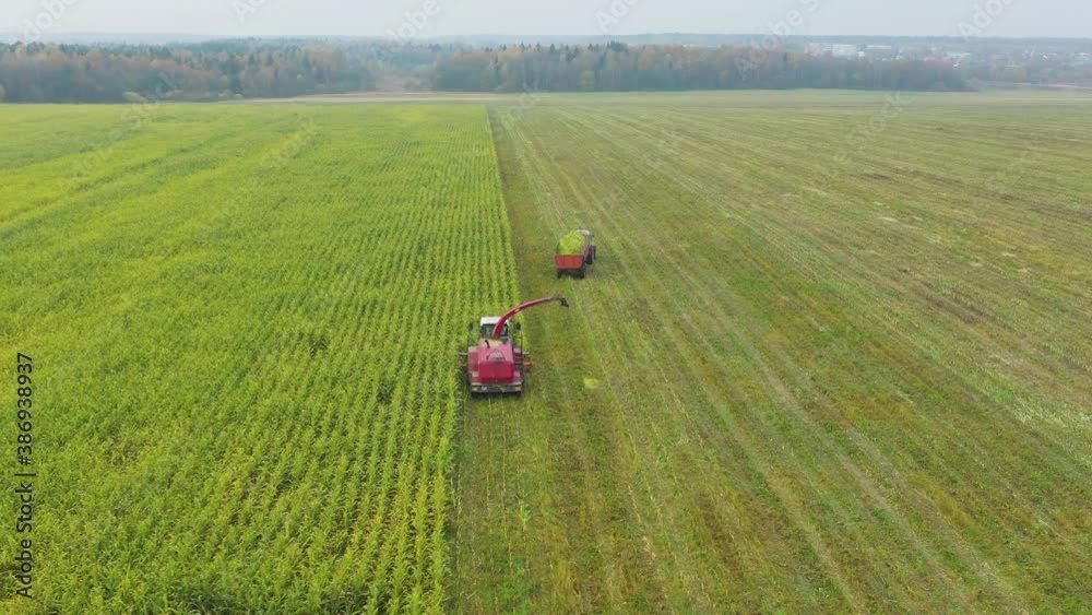 Flying around combine harvester removes crop from green field into tractor, Moscow area, Russia Flying around combine harvester removes crop from green field into tractor, Moscow area, Russia