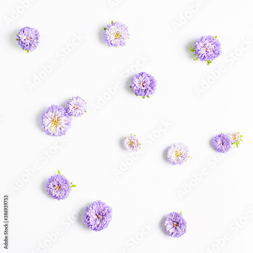 small purple aster flowers on a white background. floral pattern, square frame