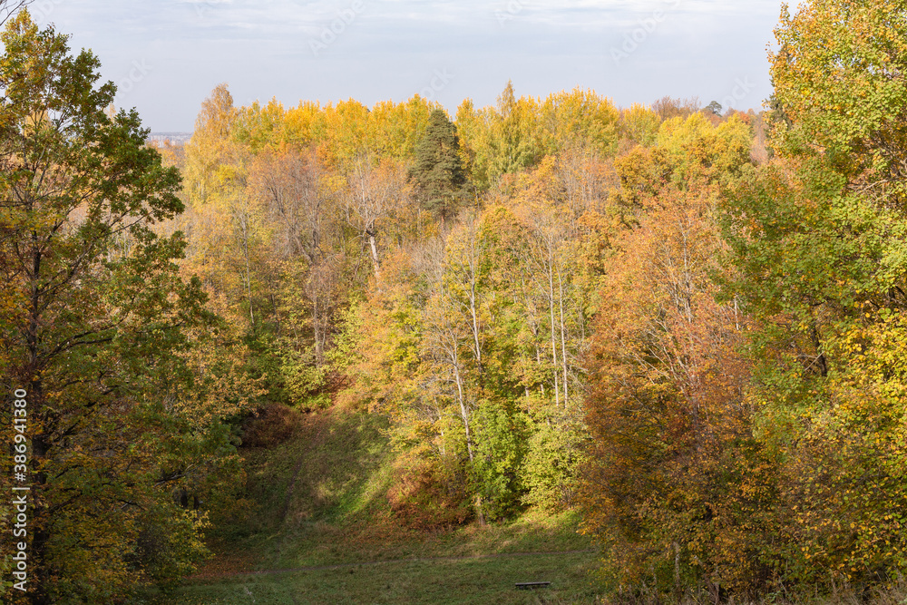 View of the autumn Park with trees with yellow and orange colored leaves View of the autumn Park with trees with yellow and orange colored leaves